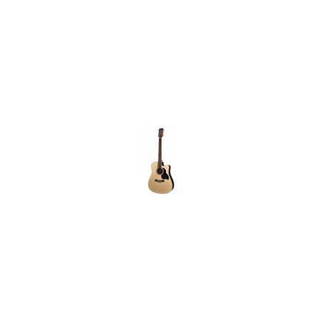Richwood D-60-CE | Casa Abreu - Loja de Instrumentos Musicais
