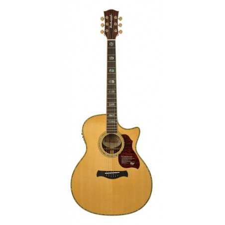 Richwood G-70-CEVA | Casa Abreu - Loja de Instrumentos Musicais
