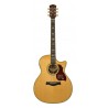 Richwood G-70-CEVA | Casa Abreu - Loja de Instrumentos Musicais