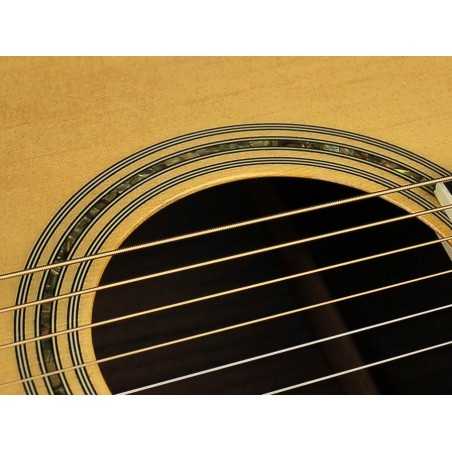 Richwood G-70-CEVA | Casa Abreu - Loja de Instrumentos Musicais
