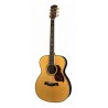 Richwood A-70-VA | Casa Abreu - Loja de Instrumentos Musicais