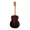 Richwood A-70-VA | Casa Abreu - Loja de Instrumentos Musicais