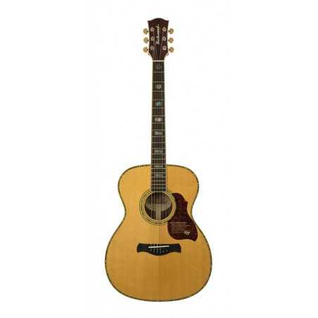 Richwood A-70-VA | Casa Abreu - Loja de Instrumentos Musicais