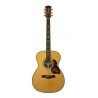 Richwood A-70-VA | Casa Abreu - Loja de Instrumentos Musicais