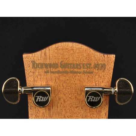 Richwood A-70-VA | Casa Abreu - Loja de Instrumentos Musicais
