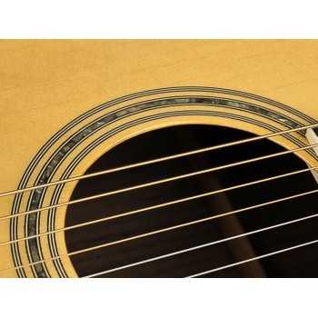 Richwood A-70-VA | Casa Abreu - Loja de Instrumentos Musicais