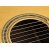 Richwood A-70-VA | Casa Abreu - Loja de Instrumentos Musicais
