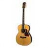 Richwood A-70-VA | Casa Abreu - Loja de Instrumentos Musicais