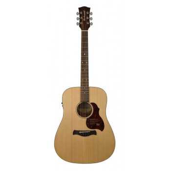 Richwood D-20-E | Casa Abreu - Loja de Instrumentos Musicais