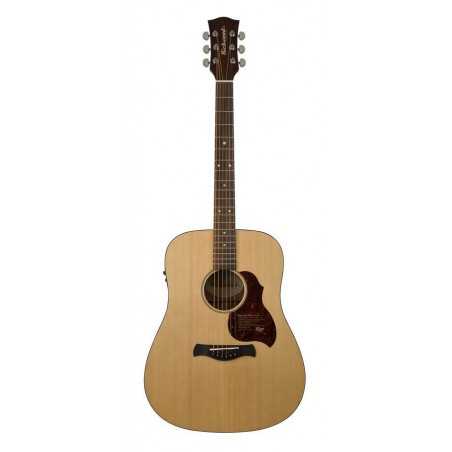 Richwood D-20-E | Casa Abreu - Loja de Instrumentos Musicais