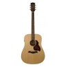 Richwood D-20-E | Casa Abreu - Loja de Instrumentos Musicais