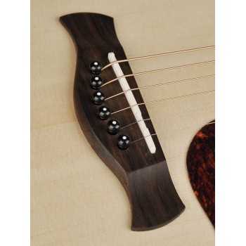 Richwood D-20-E | Casa Abreu - Loja de Instrumentos Musicais