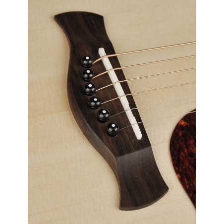 Richwood D-20-E | Casa Abreu - Loja de Instrumentos Musicais