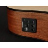 Richwood D-20-E | Casa Abreu - Loja de Instrumentos Musicais