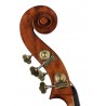 Rudolph RB-212-G | Casa Abreu - Loja de Instrumentos Musicais