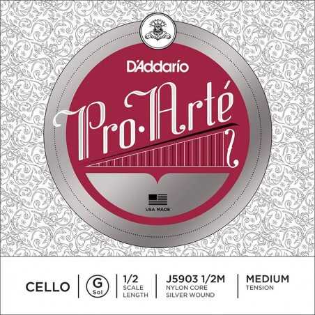 D'Addario J5903-12M | Casa Abreu - Loja de Instrumentos Musicais