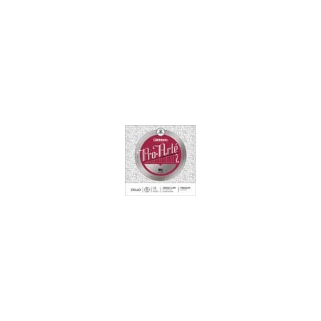 D'Addario J5903-12M | Casa Abreu - Loja de Instrumentos Musicais