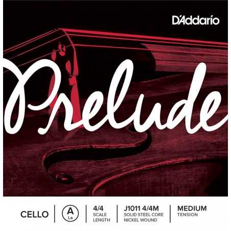 D'Addario J1011-44M | Casa Abreu - Loja de Instrumentos Musicais