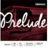 D'Addario J1011-44M | Casa Abreu - Loja de Instrumentos Musicais