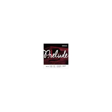 D'Addario J1012-44M | Casa Abreu - Loja de Instrumentos Musicais