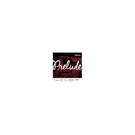 D'Addario J1014-44M | Casa Abreu - Loja de Instrumentos Musicais