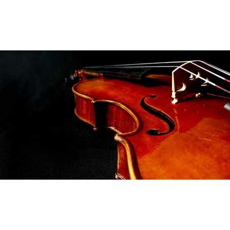 Rudolph RV-1544 | Casa Abreu - Loja de Instrumentos Musicais