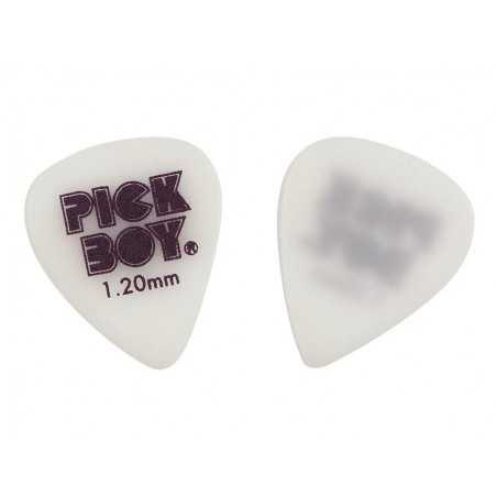 Pickboy GPSGWR-120 | Casa Abreu - Loja de Instrumentos Musicais