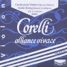 Corelli CO-804-M | Casa Abreu - Loja de Instrumentos Musicais