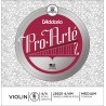 D'Addario J5601-44M | Casa Abreu - Loja de Instrumentos Musicais