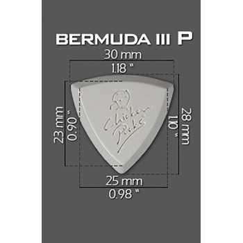 ChickenPicks 1-BEP-21 | Casa Abreu - Loja de Instrumentos Musicais