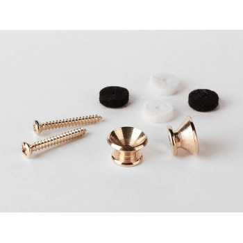 Boston EP-L-C | Casa Abreu - Loja de Instrumentos Musicais