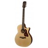 Richwood G-22-CE | Casa Abreu - Loja de Instrumentos Musicais