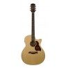 Richwood G-22-CE | Casa Abreu - Loja de Instrumentos Musicais