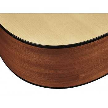 Richwood G-22-CE | Casa Abreu - Loja de Instrumentos Musicais