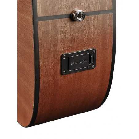 Richwood G-22-CE | Casa Abreu - Loja de Instrumentos Musicais