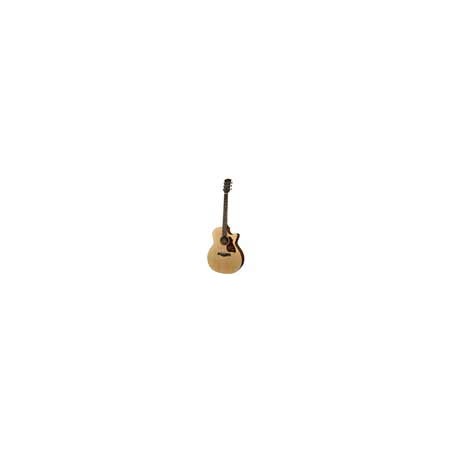 Richwood G-22-CE | Casa Abreu - Loja de Instrumentos Musicais