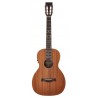 Richwood P-50-E | Casa Abreu - Loja de Instrumentos Musicais