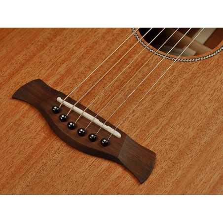 Richwood P-50-E | Casa Abreu - Loja de Instrumentos Musicais