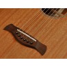 Richwood P-50-E | Casa Abreu - Loja de Instrumentos Musicais