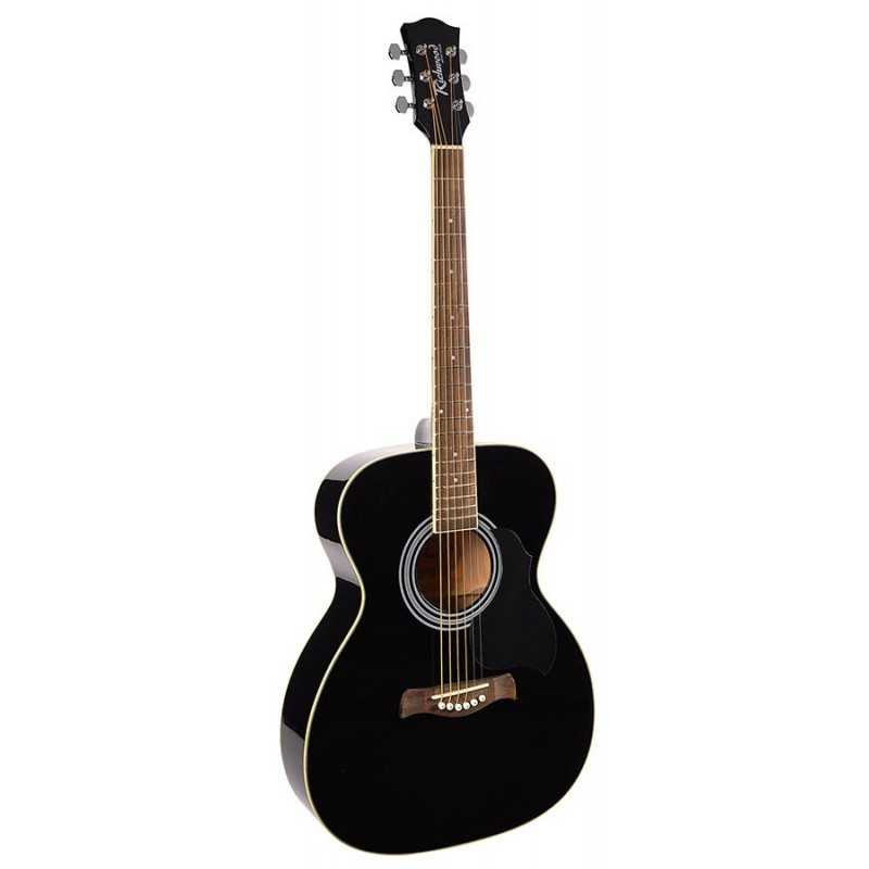 Richwood RA-12-BK | Casa Abreu - Loja de Instrumentos Musicais