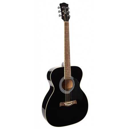 Richwood RA-12-BK | Casa Abreu - Loja de Instrumentos Musicais