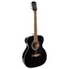 Richwood RA-12-BK | Casa Abreu - Loja de Instrumentos Musicais