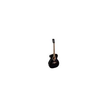 Richwood RA-12-BK | Casa Abreu - Loja de Instrumentos Musicais