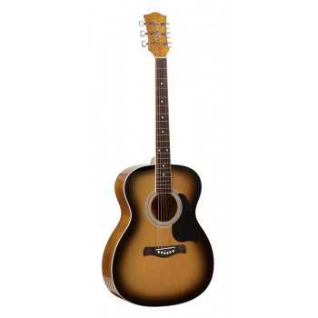 Richwood RA-12-CEBK | Casa Abreu - Loja de Instrumentos Musicais