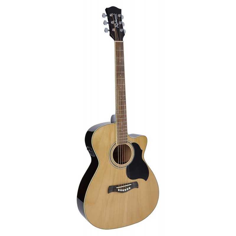 Richwood RA-12-CE | Casa Abreu - Loja de Instrumentos Musicais