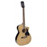 Richwood RA-12-CE | Casa Abreu - Loja de Instrumentos Musicais