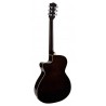 Richwood RA-12-CE | Casa Abreu - Loja de Instrumentos Musicais