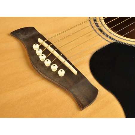 Richwood RA-12-CE | Casa Abreu - Loja de Instrumentos Musicais