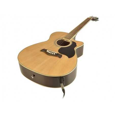 Richwood RA-12-CE | Casa Abreu - Loja de Instrumentos Musicais