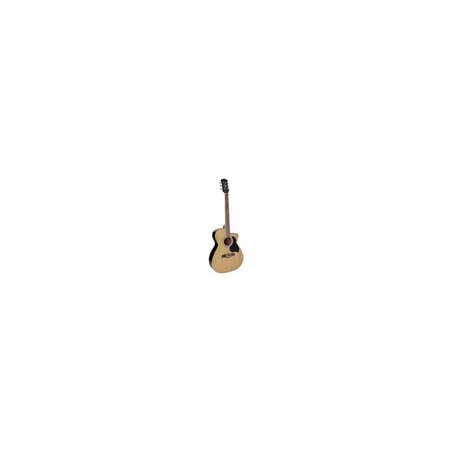 Richwood RA-12-CE | Casa Abreu - Loja de Instrumentos Musicais